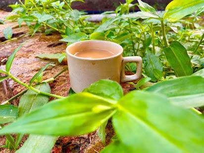 Samarth Atc-Beach Home Stay Ratnāgiri Kültér fotó